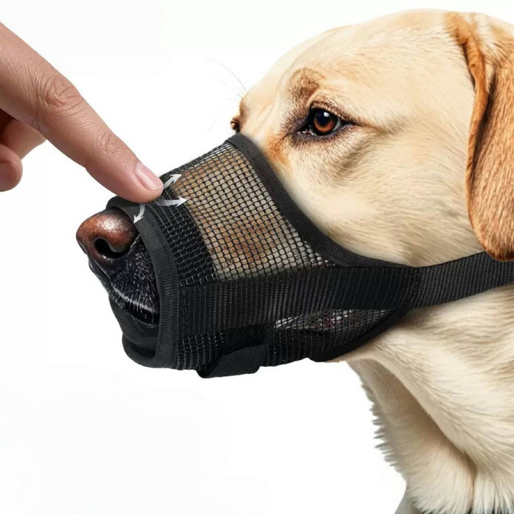 An application scenario or product detail of dog mouth guard - Image 20