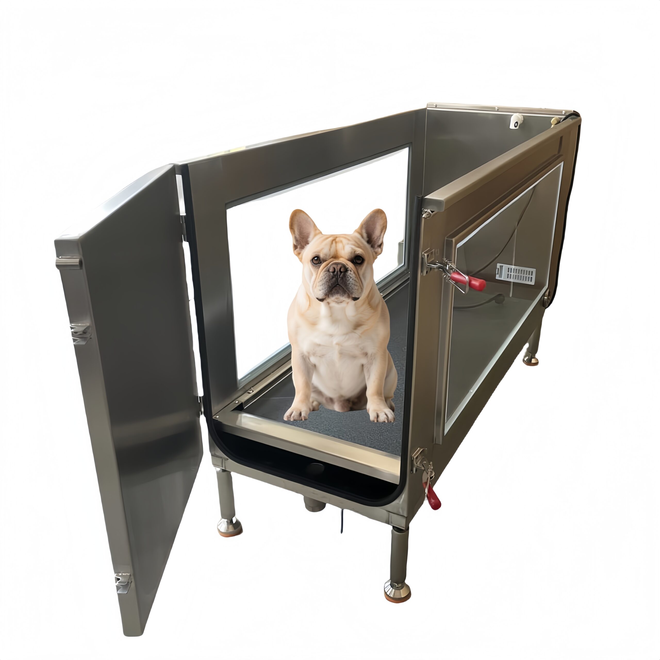 An application scenario or product detail of dog water treadmill - Image 5