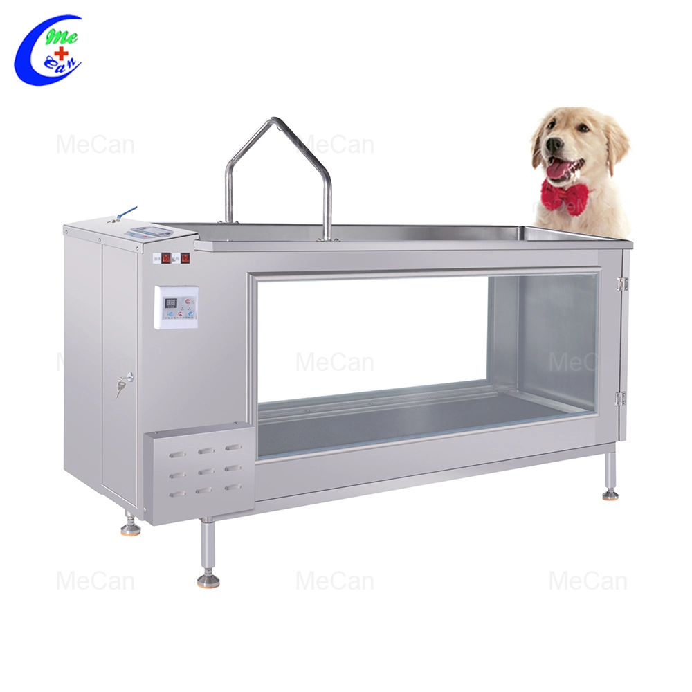 An application scenario or product detail of dog water treadmill - Image 7