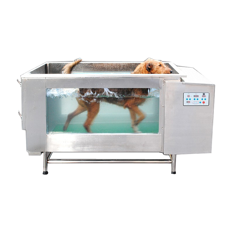 An application scenario or product detail of dog water treadmill - Image 13