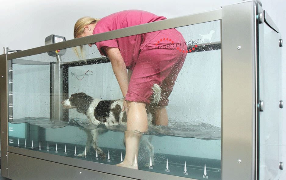 An application scenario or product detail of dog water treadmill - Image 15