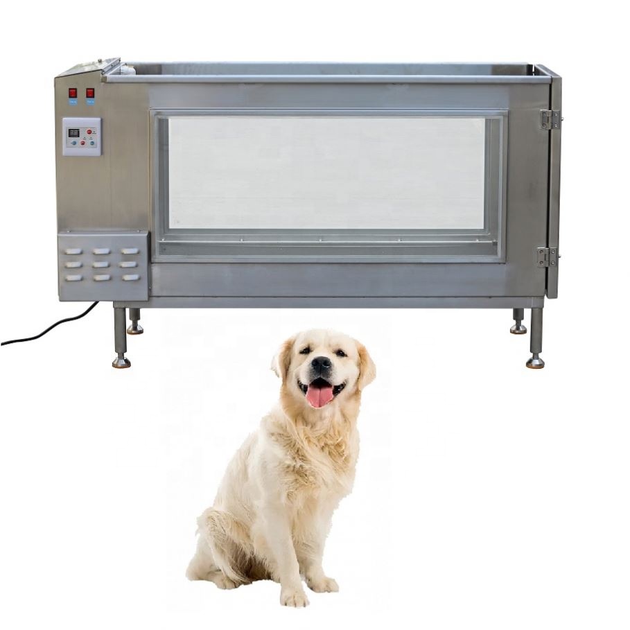 An application scenario or product detail of dog water treadmill - Image 16