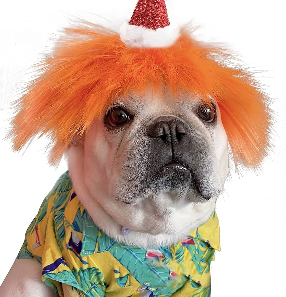 An application scenario or product detail of dog wigs - Image 9