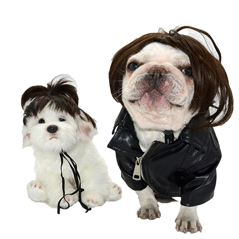 An application scenario or product detail of dog wigs - Image 10