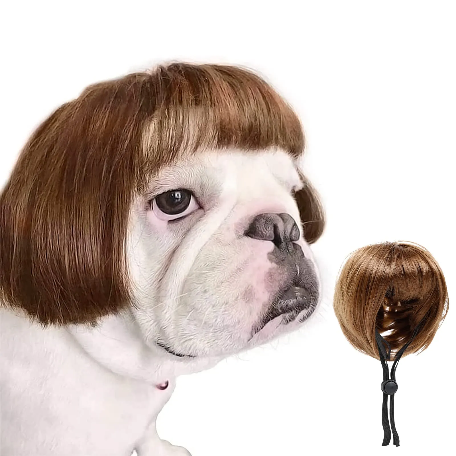 An application scenario or product detail of dog wigs - Image 16
