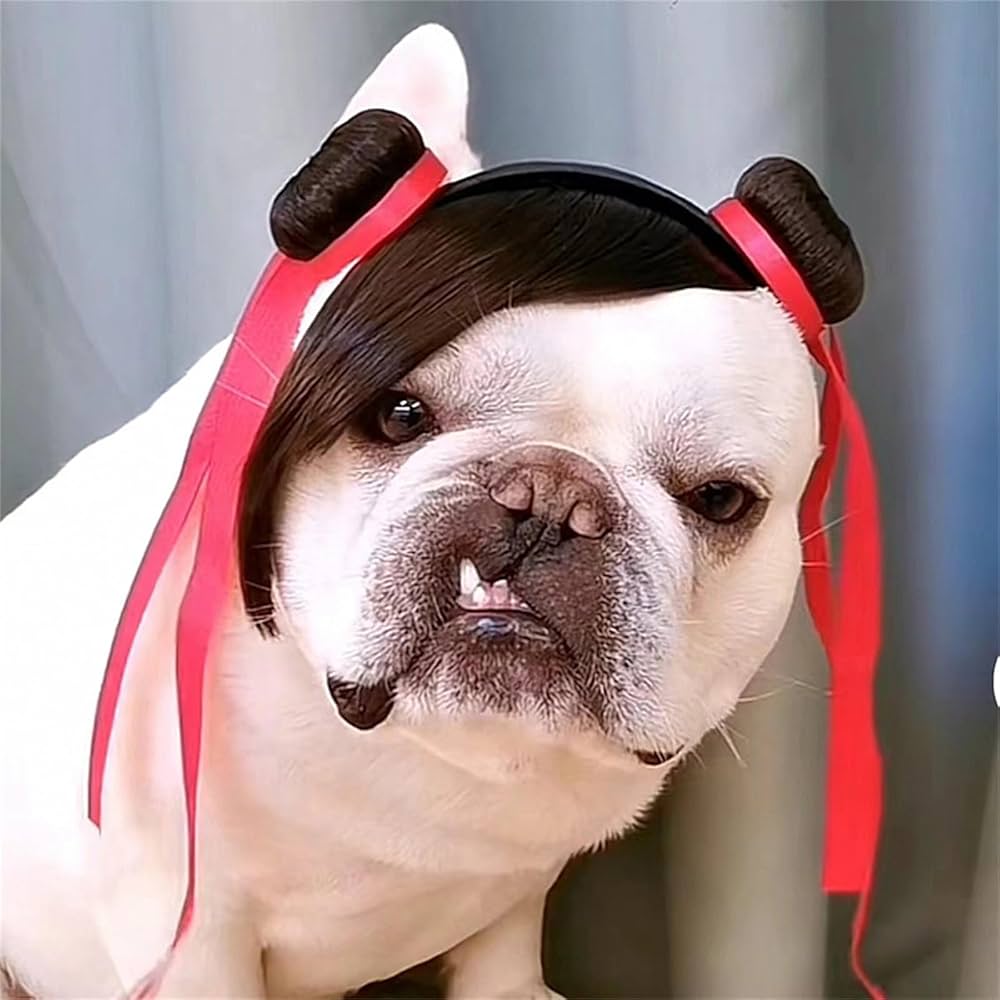 An application scenario or product detail of dog wigs - Image 18
