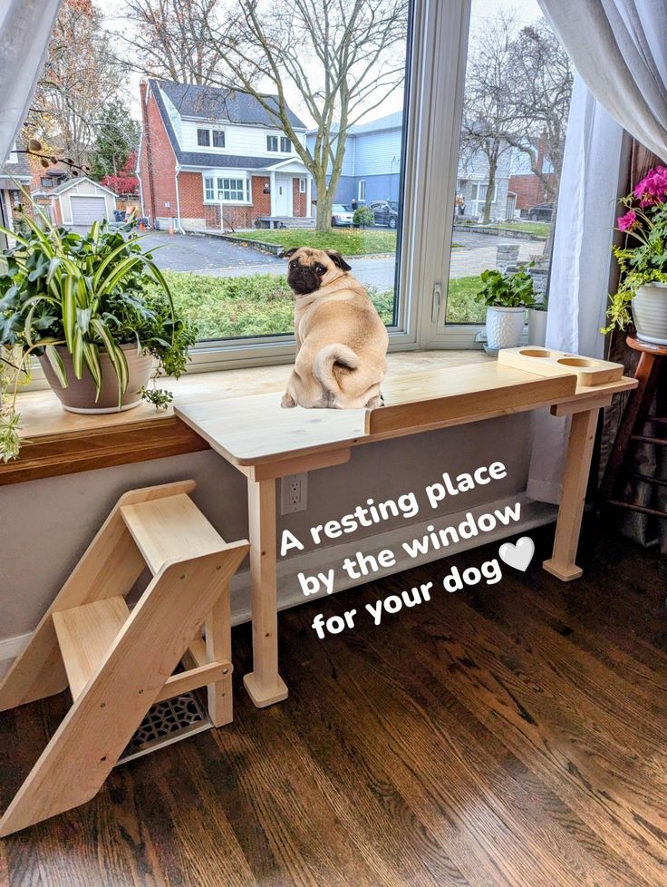 An application scenario or product detail of dog window perch - Image 3