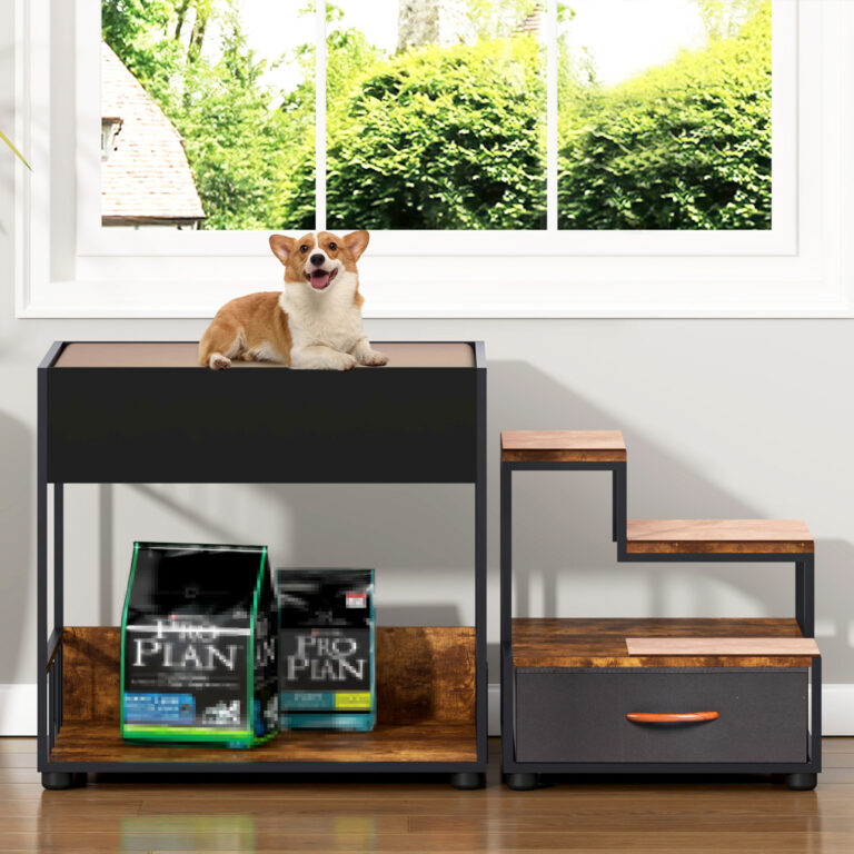 Featured image for the dog window perch guide
