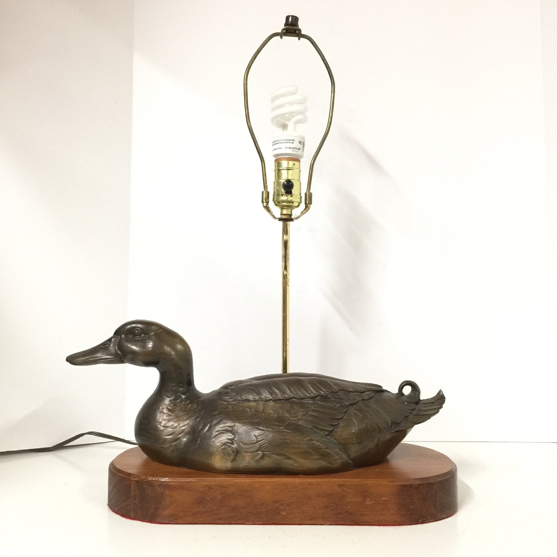 Featured image for the duck lamp guide
