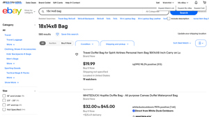 eBay - Personal Item Bags
