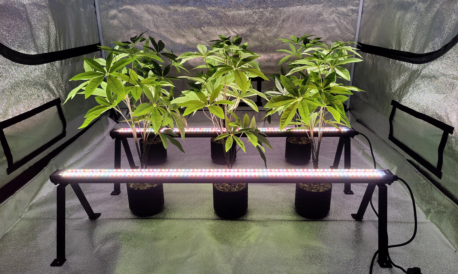 An application scenario or product detail of eclairage led de l'auvent - Image 14