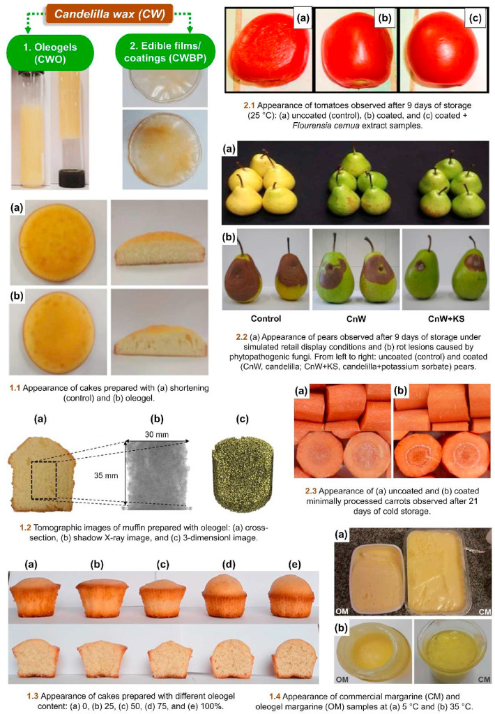 An application scenario or product detail of edible wax - Image 14
