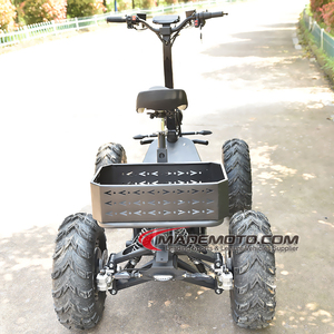 An application scenario or product detail of electric 4 wheeler for adults - Image 19