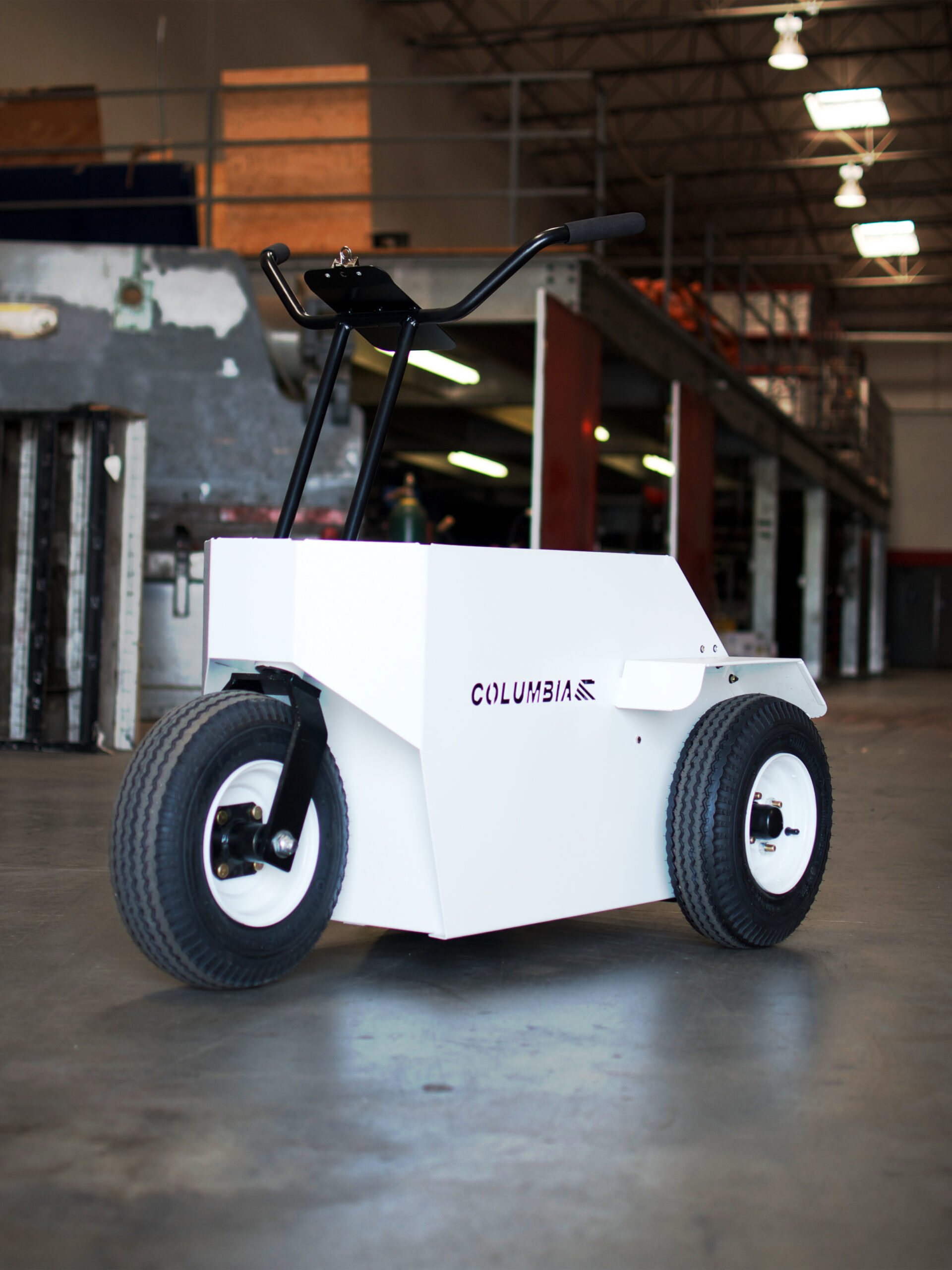 Featured image for the electric chariot for sale guide