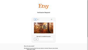 Etsy - Exotic Dancewear