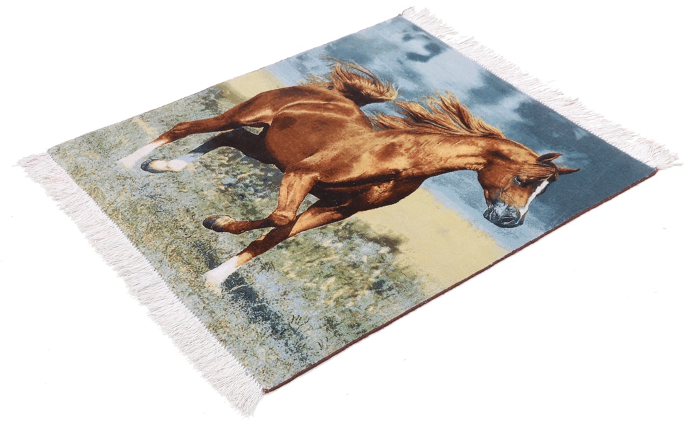 An application scenario or product detail of example of horse hair carpet - Image 21