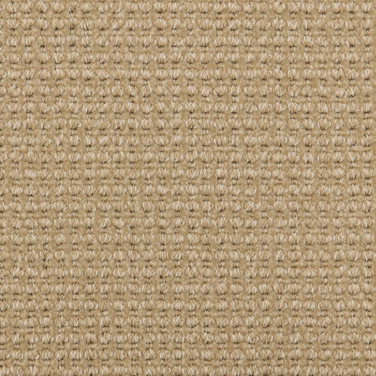 Featured image for the example of horse hair carpet guide