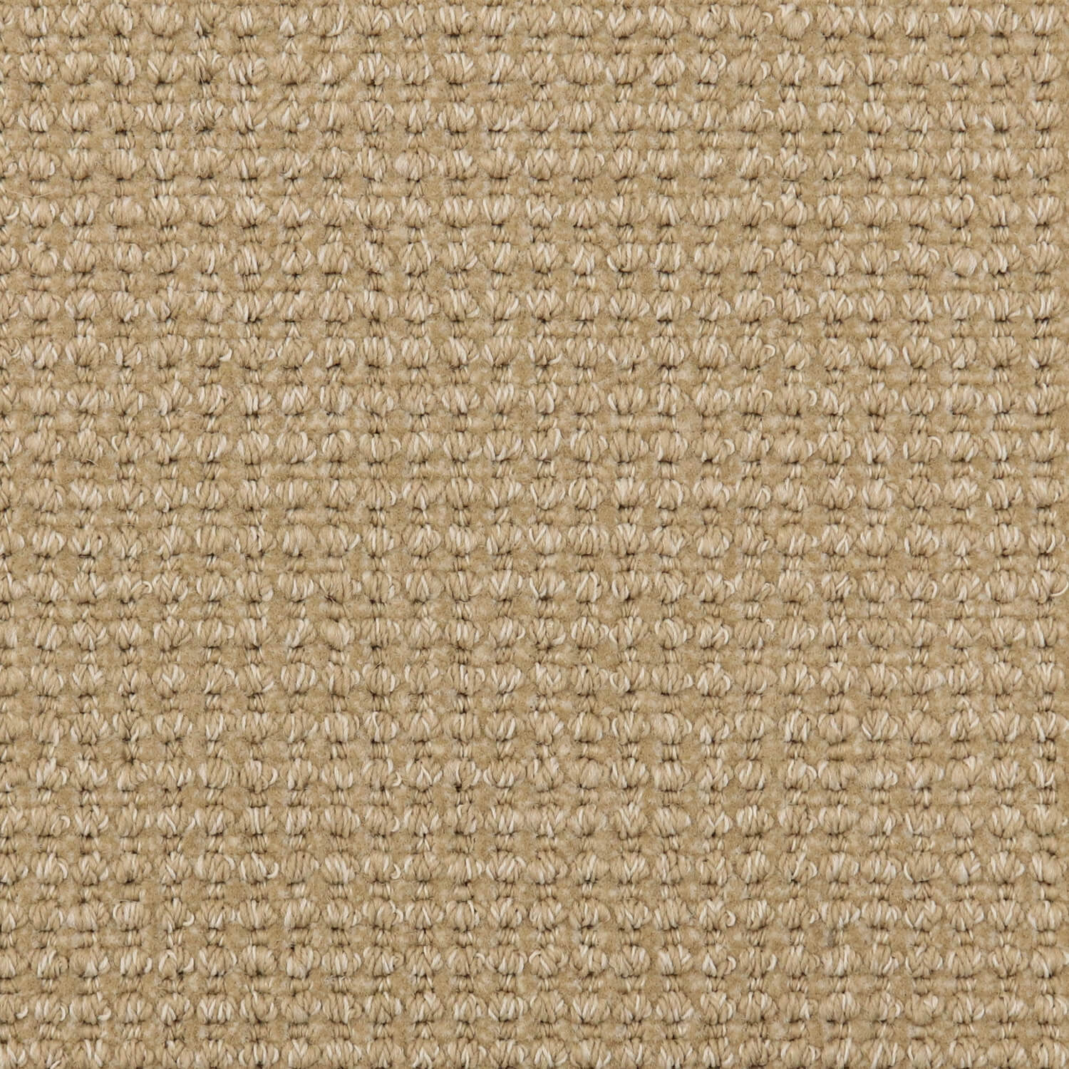 Featured image for the example of horse hair carpet guide