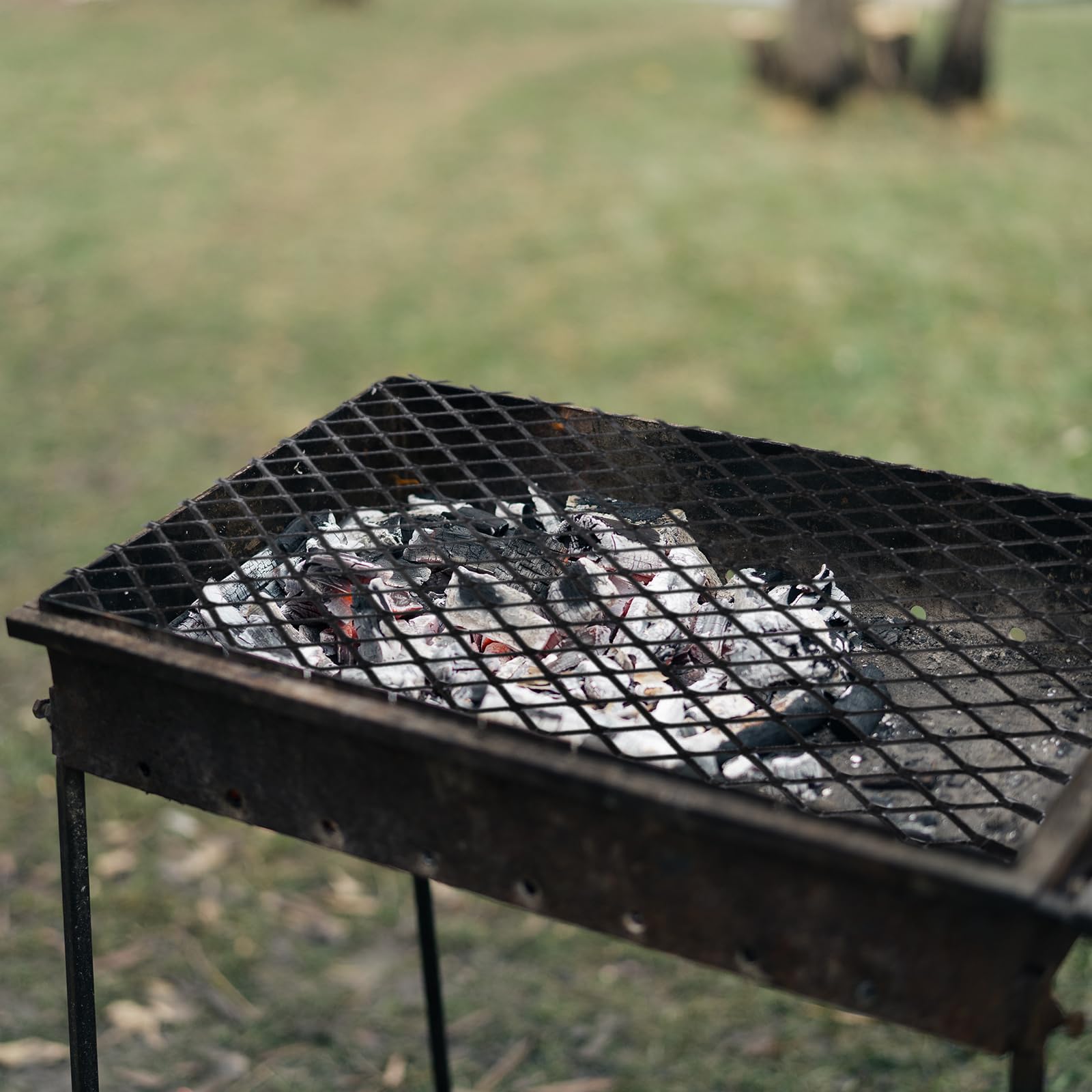 An application scenario or product detail of expanded steel grill - Image 9