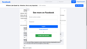 Facebook - Dashboard Duck Figurines