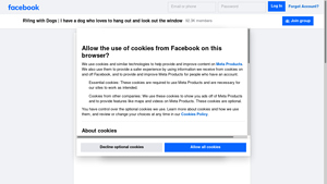 Facebook - Elevated Dog Beds