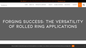Ferralloy - Rolled Ring Forgings