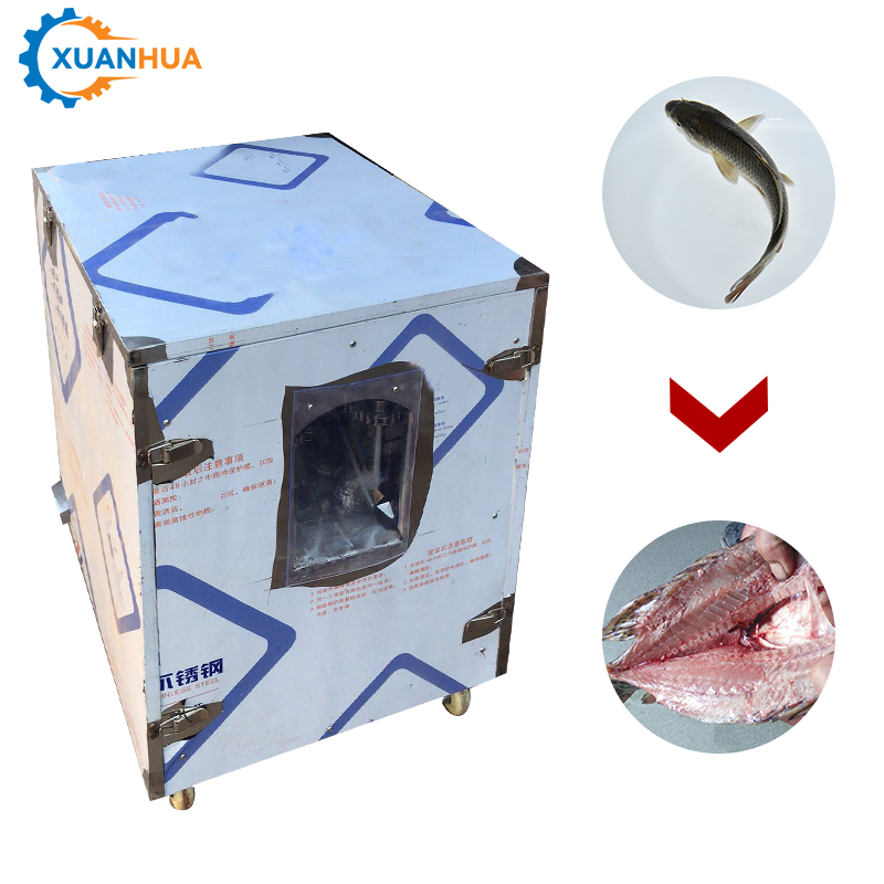 An application scenario or product detail of fish boner - Image 3