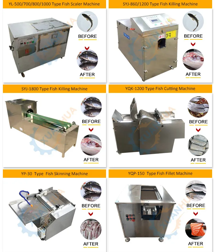 An application scenario or product detail of fish boner - Image 15