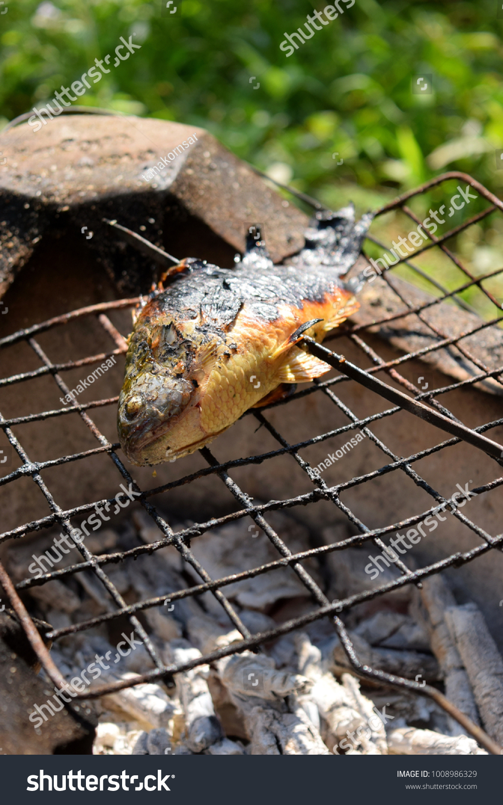An application scenario or product detail of fish griller - Image 16