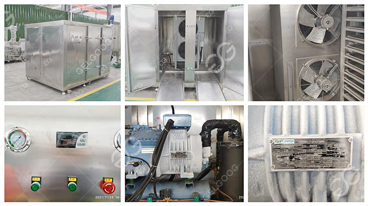 An application scenario or product detail of flash freezer - Image 9