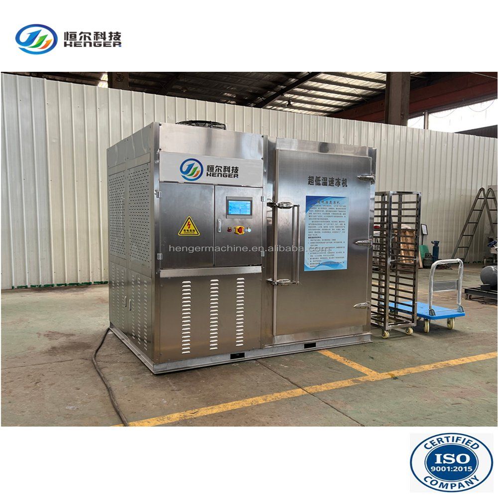 An application scenario or product detail of flash freezer - Image 12