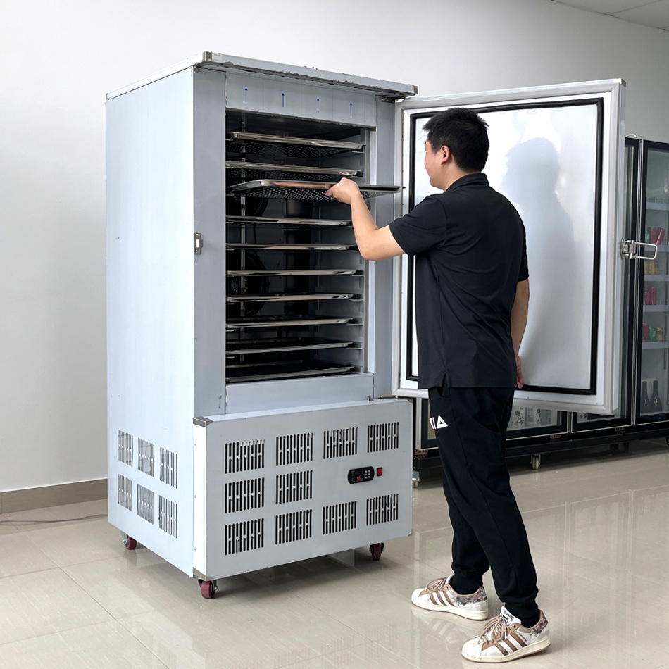 An application scenario or product detail of flash freezer - Image 19