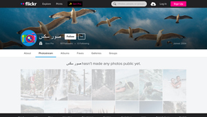 Flickr - User Privacy and Experience
