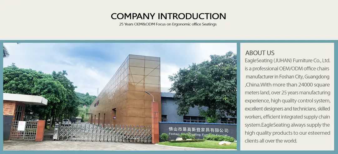 An application scenario or product detail of foshan eagleseating reviews - Image 11