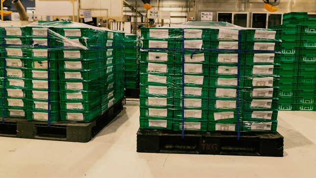 An application scenario or product detail of freight pallets - Image 22
