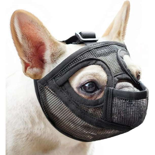 An application scenario or product detail of french bulldog muzzle - Image 3