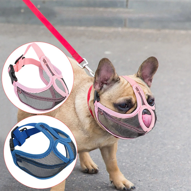An application scenario or product detail of french bulldog muzzle - Image 8