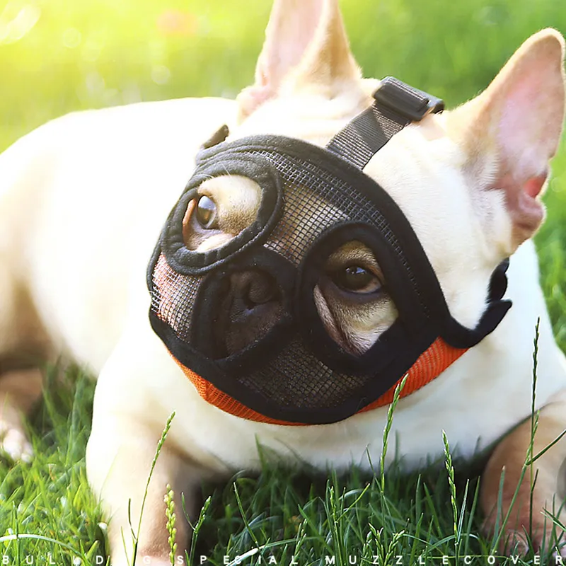 An application scenario or product detail of french bulldog muzzle - Image 9