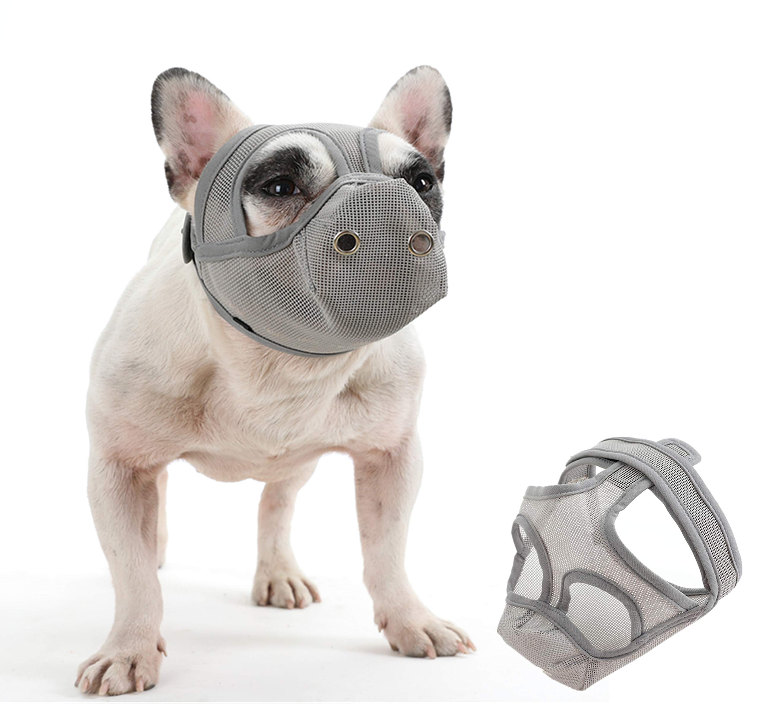 An application scenario or product detail of french bulldog muzzle - Image 11