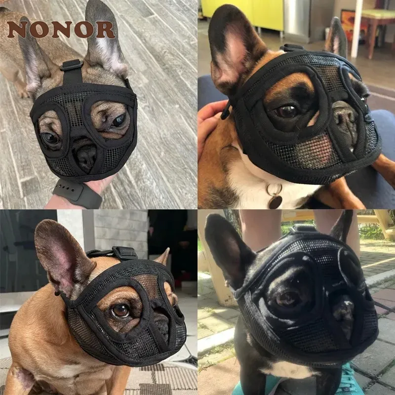 An application scenario or product detail of french bulldog muzzle - Image 13
