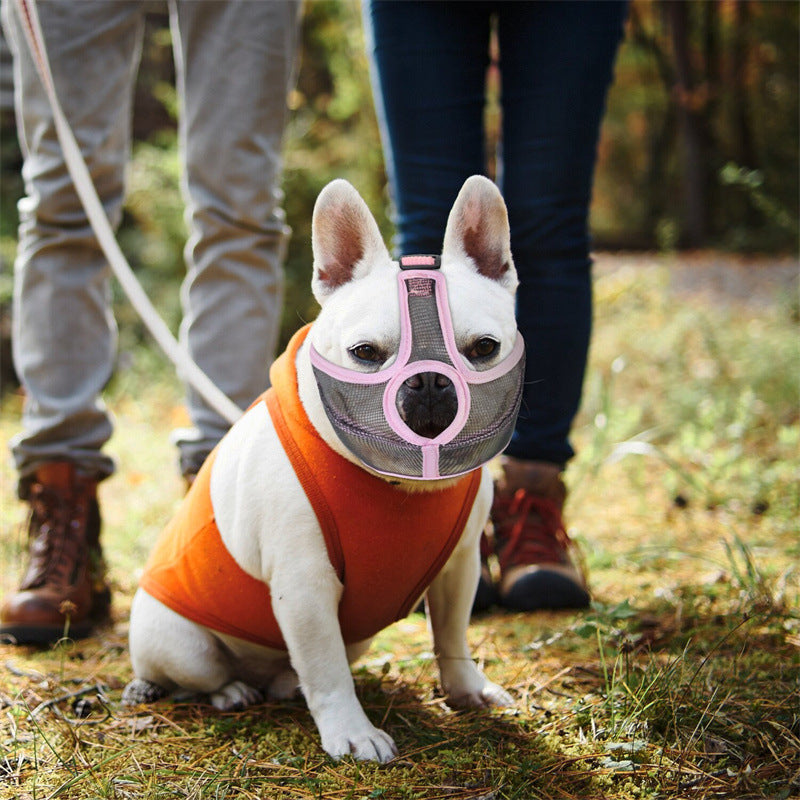 An application scenario or product detail of french bulldog muzzle - Image 14