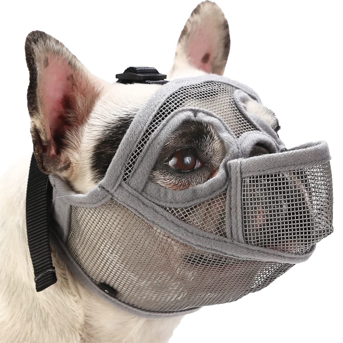 An application scenario or product detail of french bulldog muzzle - Image 18