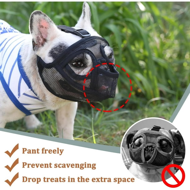 An application scenario or product detail of french bulldog muzzle - Image 22