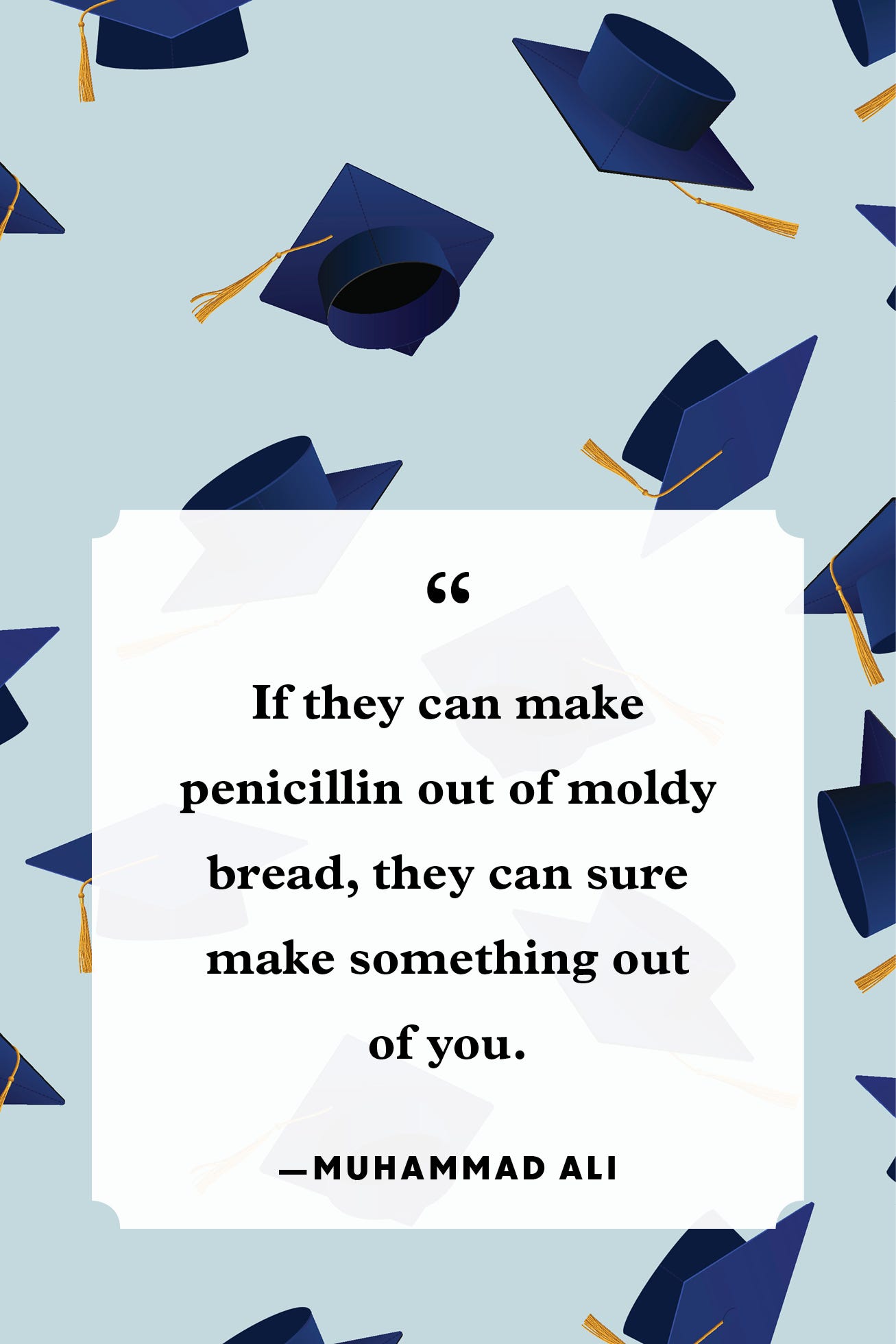 An application scenario or product detail of funny graduation captions - Image 22