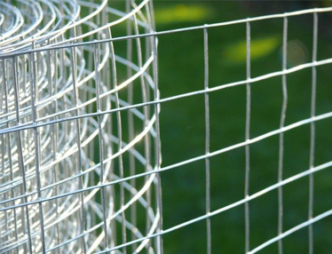 An application scenario or product detail of galvanized wire mesh - Image 5