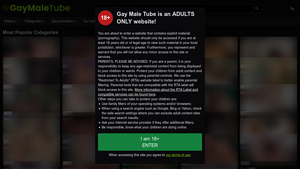 Gay Male Tube - Diverse Adult Content