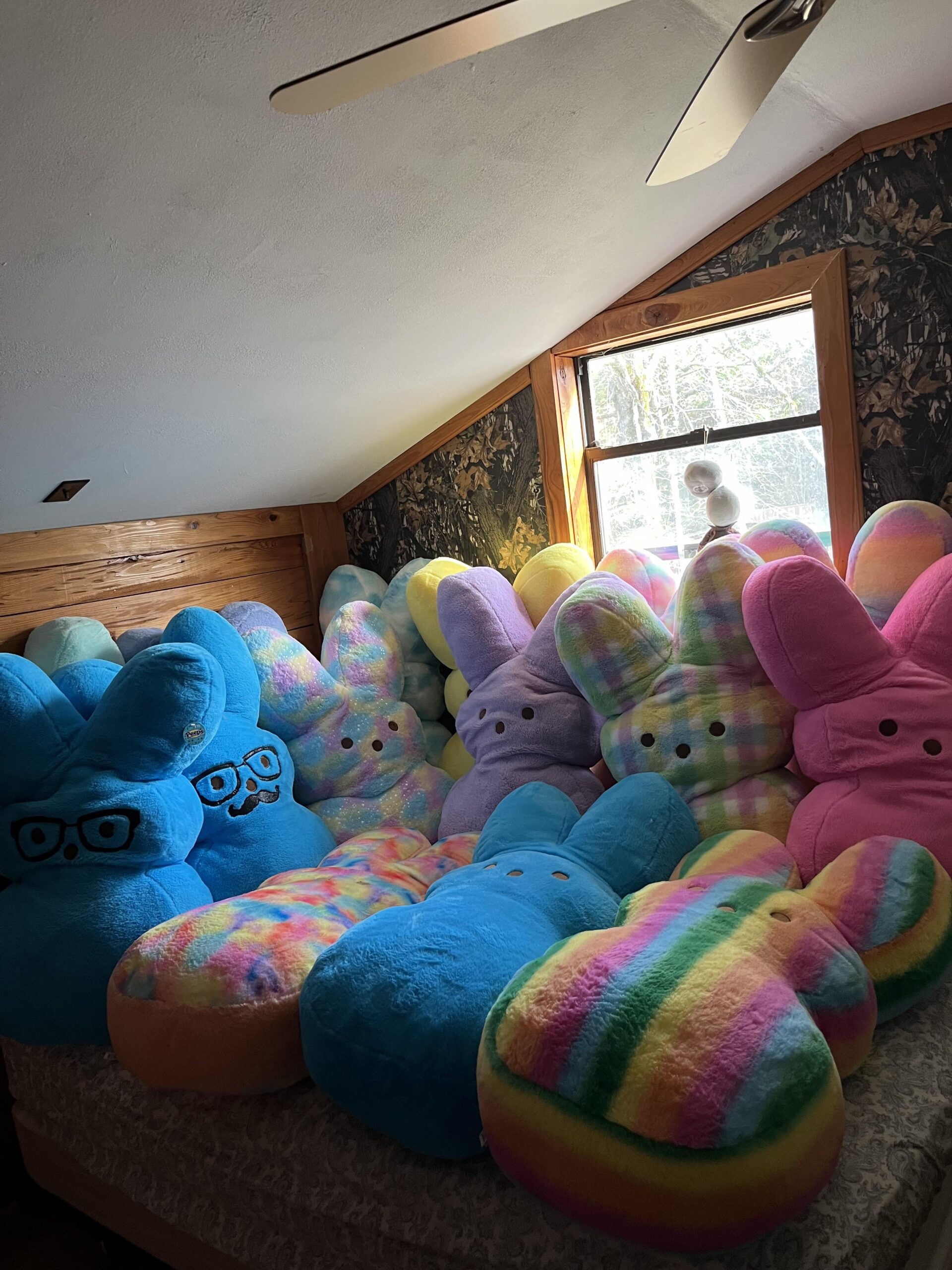An application scenario or product detail of giant peep plush - Image 13