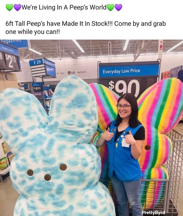 An application scenario or product detail of giant peep plush - Image 19