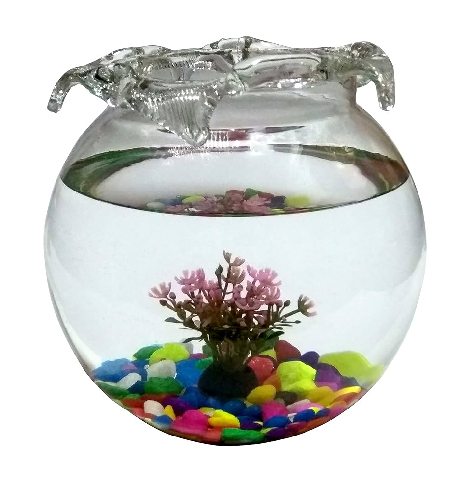An application scenario or product detail of glass fish bowl - Image 17