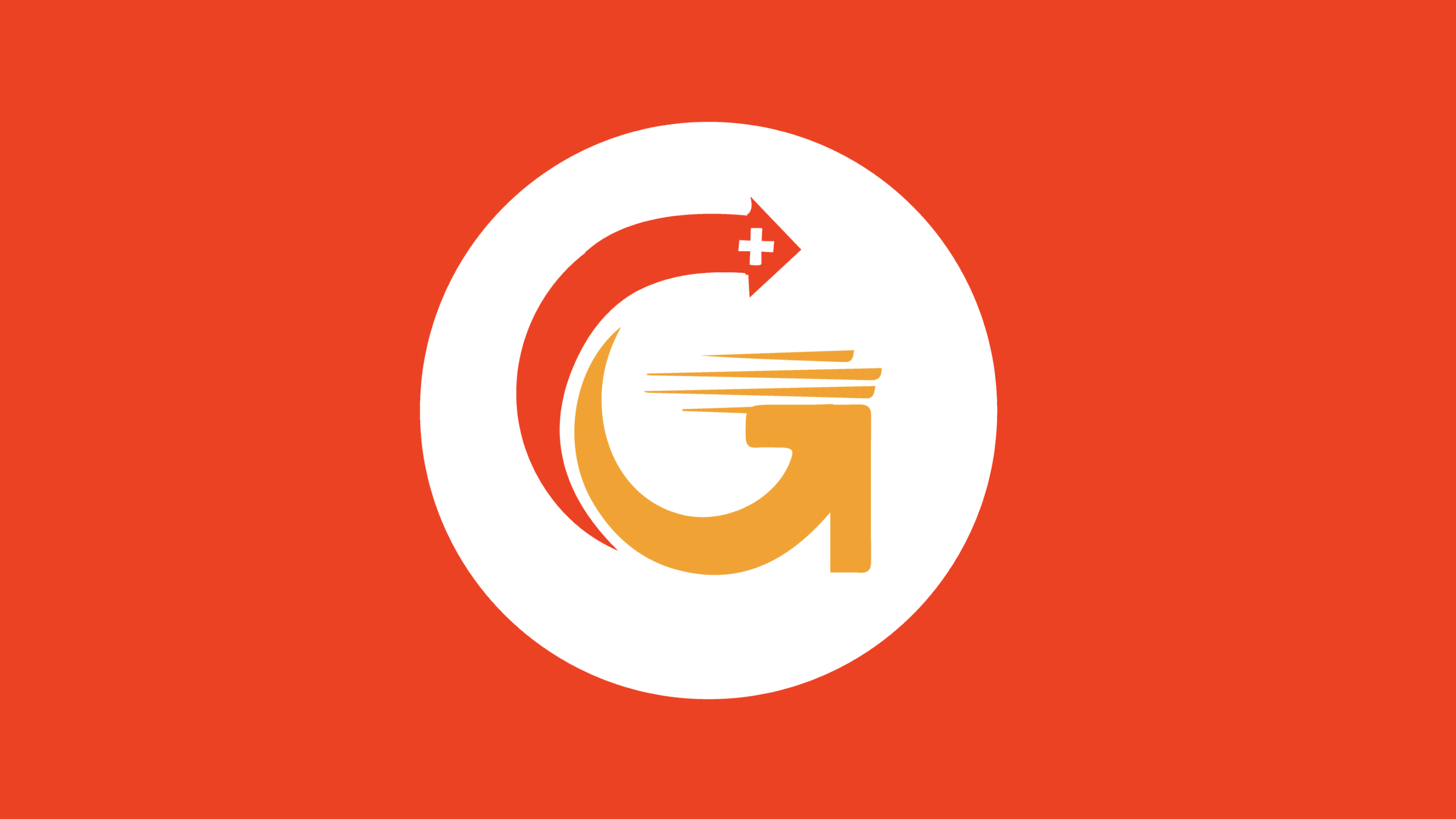 An application scenario or product detail of gogo plus - Image 4